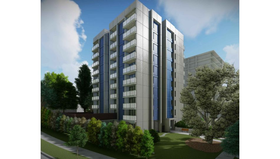 HEmlock - The Arbutus